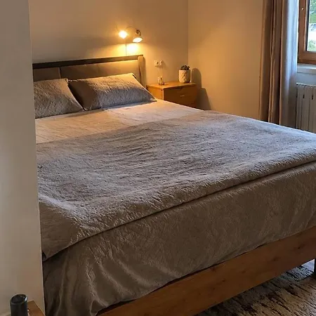 будинок для відпочинку яремче Apartment